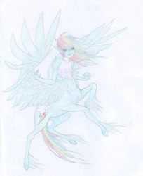 Size: 1024x1252 | Tagged: safe, artist:bellalullaby, rainbow dash, centaur, belly button, solo, traditional art