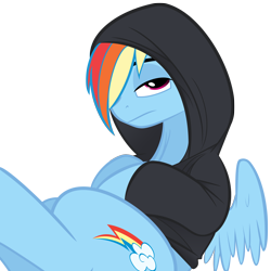 Size: 2048x2048 | Tagged: safe, artist:cobaltsnow, artist:php83, rainbow dash, pegasus, pony, clothes, hoodie, solo