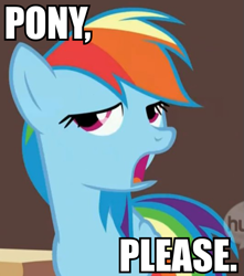 Size: 529x599 | Tagged: safe, rainbow dash, pegasus, pony, bitch please, caption, image macro, reaction image, solo