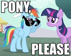 Size: 732x577 | Tagged: safe, rainbow dash, twilight sparkle, pegasus, pony, bitch please, caption, image macro, reaction image, sunglasses