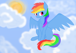 Size: 944x663 | Tagged: safe, artist:jonnysalami, rainbow dash, pegasus, pony, detailed background, female, mare, solo