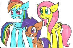 Size: 916x606 | Tagged: safe, artist:cmara, derpibooru import, fluttershy, rainbow dash, scootaloo, pegasus, pony, traditional art