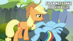 Size: 1920x1080 | Tagged: safe, derpibooru import, edit, edited screencap, screencap, applejack, rainbow dash, earth pony, pegasus, pony, bellyrubs, caption, nose in the air, out of context, text