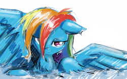 Size: 2560x1600 | Tagged: safe, artist:ruby, rainbow dash, pegasus, pony, blue coat, female, mare, multicolored mane, solo, wet mane