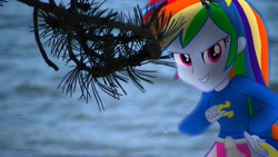 Size: 3840x2160 | Tagged: safe, artist:bastbrushie, rainbow dash, human, equestria girls, clothes, equestria girls in real life, female, grin, horseshoes, irl, lake, photo, shadow, smiling, solo, tree branch, vector