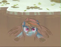 Size: 1250x960 | Tagged: artist needed, source needed, safe, rainbow dash, pegasus, pony, mud, solo