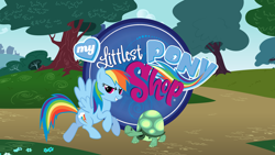 Size: 1920x1080 | Tagged: safe, rainbow dash, tank, pegasus, pony, tortoise, crossover, littlest pet shop, logo, pmv