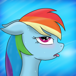 Size: 864x864 | Tagged: safe, artist:rd-brony, rainbow dash, pegasus, pony, blushing, solo, sweat, tongue out