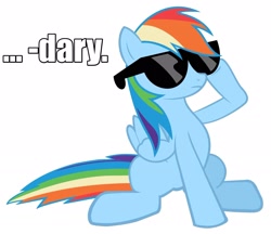 Size: 2048x1773 | Tagged: safe, rainbow dash, pegasus, pony, brick joke, followup, how i met your mother, quote, solo, sunglasses, swag, text