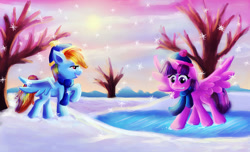 Size: 1519x923 | Tagged: safe, artist:loveless-nights, derpibooru import, rainbow dash, twilight sparkle, twilight sparkle (alicorn), alicorn, pegasus, pony, cap, clothes, female, frozen, hat, mare, pond, scarf, snow, snowfall, snowflake, tree, winter