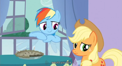 Size: 853x469 | Tagged: safe, derpibooru import, screencap, applejack, rainbow dash, earth pony, pegasus, pony, youtube caption