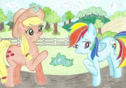 Size: 1024x720 | Tagged: safe, derpibooru import, applejack, rainbow dash, earth pony, pegasus, pony, alex warlorn, fanfic, fanfic art, pony pov series, reharmonized ponies, sweet apple acres