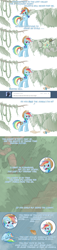 Size: 800x3522 | Tagged: safe, artist:feather, rainbow dash, pegasus, pony, ask, ask rainbow danger dash, hat, solo, tumblr, whip