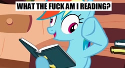 Size: 852x467 | Tagged: safe, screencap, rainbow dash, pegasus, pony, derp, reading, solo, vulgar, what the fuck am i reading