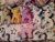 Size: 2592x1944 | Tagged: safe, derpibooru import, applejack, dj pon-3, octavia melody, pinkie pie (g3), rainbow dash, rarity, twilight sparkle, twilight sparkle (alicorn), vinyl scratch, alicorn, earth pony, pony, g3, funrise, irl, photo, plushie, stars