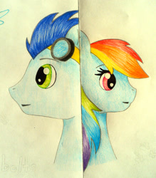 Size: 1024x1171 | Tagged: safe, artist:ilovethisrainbows, rainbow dash, soarin', pegasus, pony, female, male, shipping, soarindash, straight, traditional art