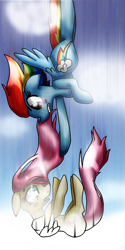 Size: 500x1000 | Tagged: safe, artist:ressurectednightmare, derpibooru import, fluttershy, rainbow dash, pegasus, pony, blue coat, female, mare, multicolored mane, pink mane, wings, yellow coat