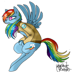 Size: 1920x1920 | Tagged: safe, artist:vegemiteguzzler, rainbow dash, pegasus, pony, clothes, jacket, solo