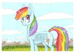 Size: 1024x728 | Tagged: safe, artist:sinihi, rainbow dash, pegasus, pony, blue coat, female, mare, multicolored mane, solo, traditional art