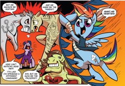 Size: 1021x701 | Tagged: safe, artist:brendahickey, idw, rainbow dash, twilight sparkle, twilight sparkle (alicorn), alicorn, pegasus, pony, spoiler:comic, spoiler:comic13, anchor, comic, female, mare, pirate, sword, tattoo, unnamed pony