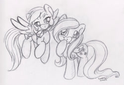 Size: 1280x880 | Tagged: safe, artist:abbystarling, derpibooru import, fluttershy, rainbow dash, pegasus, pony, female, flower, flutterdash, lesbian, monochrome, shipping