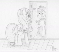 Size: 1700x1500 | Tagged: safe, artist:ramott, derpibooru import, applejack, rainbow dash, earth pony, pegasus, pony, duo, grayscale, monochrome, traditional art