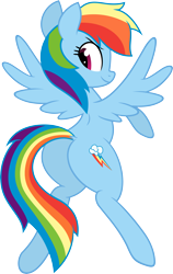 Size: 3797x6000 | Tagged: safe, artist:hidden-cat, artist:slb94, derpibooru import, rainbow dash, pegasus, pony, backwards cutie mark, female, hooves, looking back, mare, plot, rainbutt dash, simple background, smiling, smirk, solo, spread wings, transparent background, vector, wings