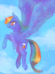 Size: 600x800 | Tagged: safe, artist:spiffyskillet, rainbow dash, pegasus, pony, detailed background, female, mare, solo