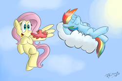 Size: 3000x2000 | Tagged: safe, artist:benja, fluttershy, rainbow dash, bird, pegasus, pony, ask-ask-the-ponies, cloud, cloudy