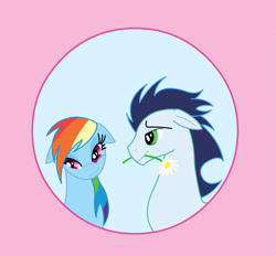 Size: 1024x950 | Tagged: safe, artist:tsand106, daisy, flower wishes, rainbow dash, soarin', pegasus, pony, female, flower, flower in mouth, male, mouth hold, shipping, soarindash, straight