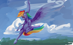 Size: 4000x2500 | Tagged: safe, artist:eytosh, rainbow dash, pegasus, pony, detailed background, female, mare, solo