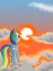 Size: 1500x2000 | Tagged: safe, artist:the1xeno1, rainbow dash, pegasus, pony, cloud, cloudy, solo, sunset