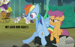 Size: 841x530 | Tagged: safe, derpibooru import, edit, edited screencap, screencap, rainbow dash, rarity, scootaloo, sweetie belle, pegasus, pony, unicorn, sleepless in ponyville