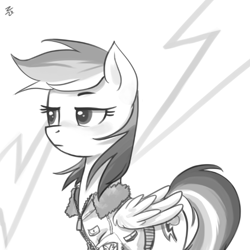 Size: 735x736 | Tagged: safe, artist:ehfa, derpibooru import, rainbow dash, pegasus, pony, clothes, female, grayscale, jacket, mare, monochrome, simple background, solo, white background