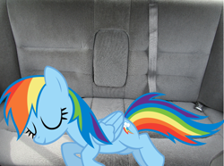 Size: 774x576 | Tagged: safe, derpibooru import, rainbow dash, car, irl, photo, ponies in real life, sleeping, vector