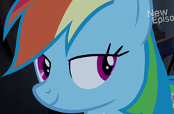 Size: 524x344 | Tagged: safe, screencap, rainbow dash, pegasus, pony, castle mane-ia, lidded eyes, solo