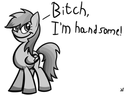 Size: 1280x970 | Tagged: safe, artist:anxet, rainbow dash, pegasus, pony, monochrome, solo, vulgar