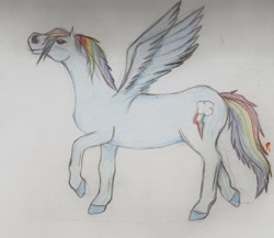 Size: 960x833 | Tagged: safe, artist:bela-designs, rainbow dash, pegasus, pony, realistic, solo, traditional art