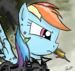 Size: 2000x1900 | Tagged: safe, artist:pak-faace1234, rainbow dash, pegasus, pony, ace combat, fire, smoke, solo, su-35