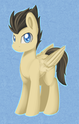 Size: 1024x1597 | Tagged: safe, artist:dusthiel, oc, oc only, pegasus, pony, male, solo, stallion