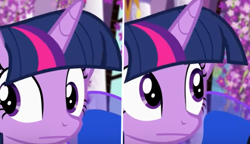 Size: 496x285 | Tagged: safe, artist:no-name-blog-scree, princess luna, twilight sparkle, twilight sparkle (alicorn), alicorn, pony, :, bust, lavender, meme, monkey puppet, ponified meme, portrait, shifty eyes, solo focus