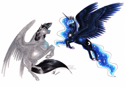 Size: 3422x2394 | Tagged: safe, artist:teabee-art, princess luna, oc, alicorn, pegasus, pony, duo, flying, simple background, traditional art, white background