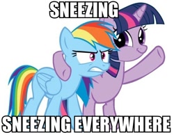 Size: 556x432 | Tagged: safe, rainbow dash, twilight sparkle, pegasus, pony, image macro, meme, sneezing, twiface, x x everywhere