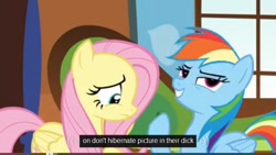 Size: 640x360 | Tagged: safe, derpibooru import, screencap, fluttershy, rainbow dash, pegasus, pony, tanks for the memories, meme, vulgar, youtube, youtube caption