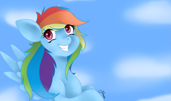 Size: 3879x2295 | Tagged: safe, artist:ebenou, derpibooru import, rainbow dash, pegasus, pony, female, mare, simple background, solo