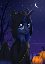 Size: 2894x4093 | Tagged: safe, artist:koshakevich, princess luna, alicorn, pony, clothes, costume, crescent moon, cute, female, halloween, holiday, how to train your dragon, kigurumi, lunabetes, mare, moon, night, pumpkin, sky, solo, stars, toothless the dragon