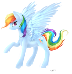 Size: 3784x3904 | Tagged: safe, artist:skajcia, derpibooru import, rainbow dash, pegasus, pony, blue coat, female, mare, multicolored mane, simple background, solo, white background, wings