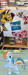 Size: 361x960 | Tagged: safe, derpibooru import, pinkie pie, rainbow dash, twilight sparkle, twilight sparkle (alicorn), alicorn, earth pony, monkey, pegasus, pony, skunk, bumblebee, female, hasbro, littlest pet shop, mare, minka mark, pepper clark, transformers, transformers robots in disguise (2015)