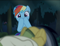 Size: 1398x1080 | Tagged: safe, screencap, daring do, rainbow dash, pegasus, pony, daring don't, female, mare, out of context, plot