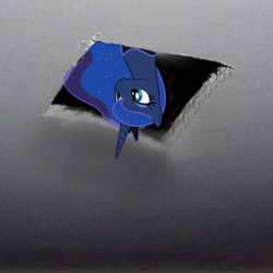 Size: 500x500 | Tagged: safe, princess luna, alicorn, pony, ceiling cat, ceiling pony, female, mare, meme, ponified meme, solo